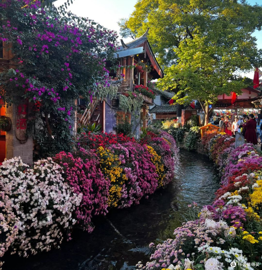 云南旅游攻略:彩云之南,邂逅你的诗与远方
