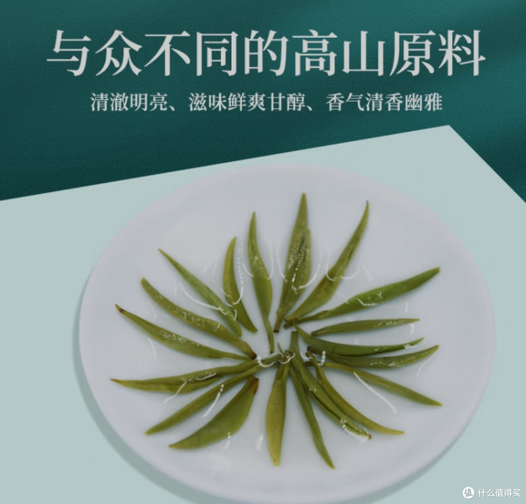 六朝古都的非遗茶——南京雨花茶