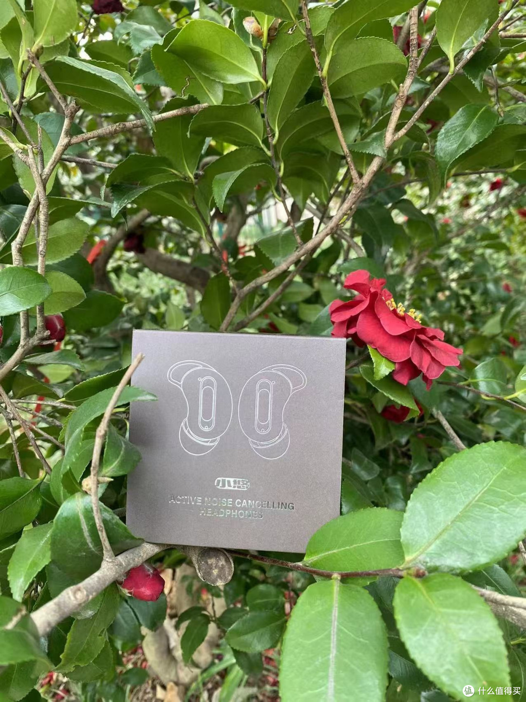 告别耳机选择困难症,蛇圣小悠降噪耳机真的绝