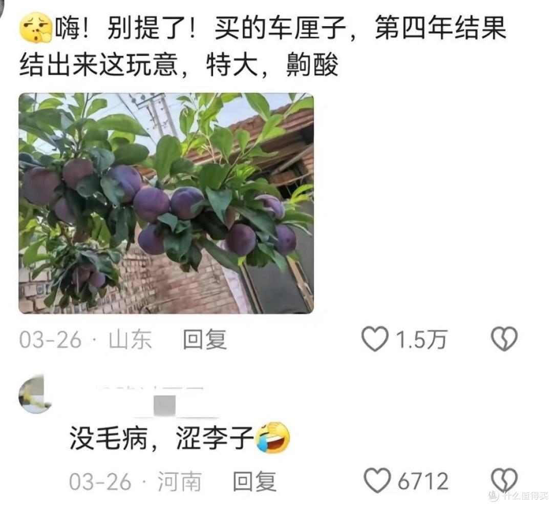 为什么说:千万不要在网上买这“5样”东西?看完你就知道后怕了