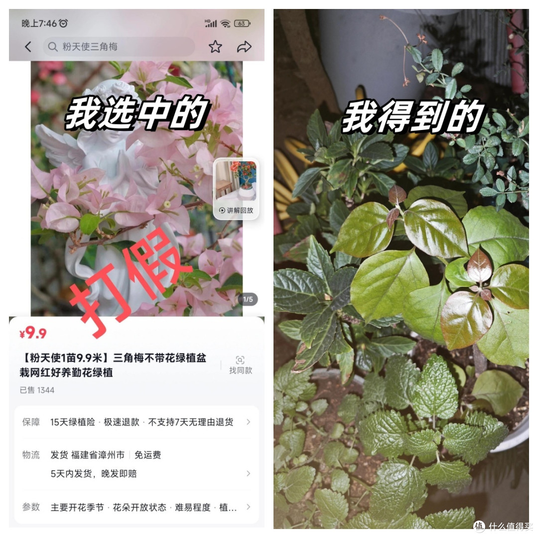 为什么说:千万不要在网上买这“5样”东西?看完你就知道后怕了