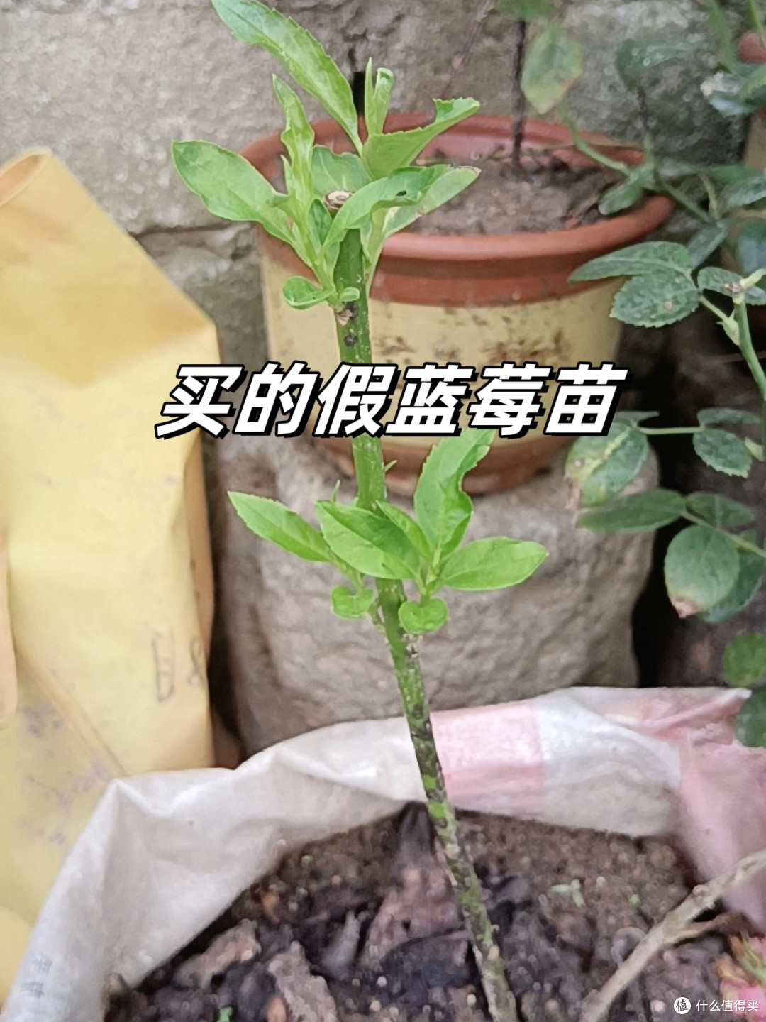 为什么说:千万不要在网上买这“5样”东西?看完你就知道后怕了
