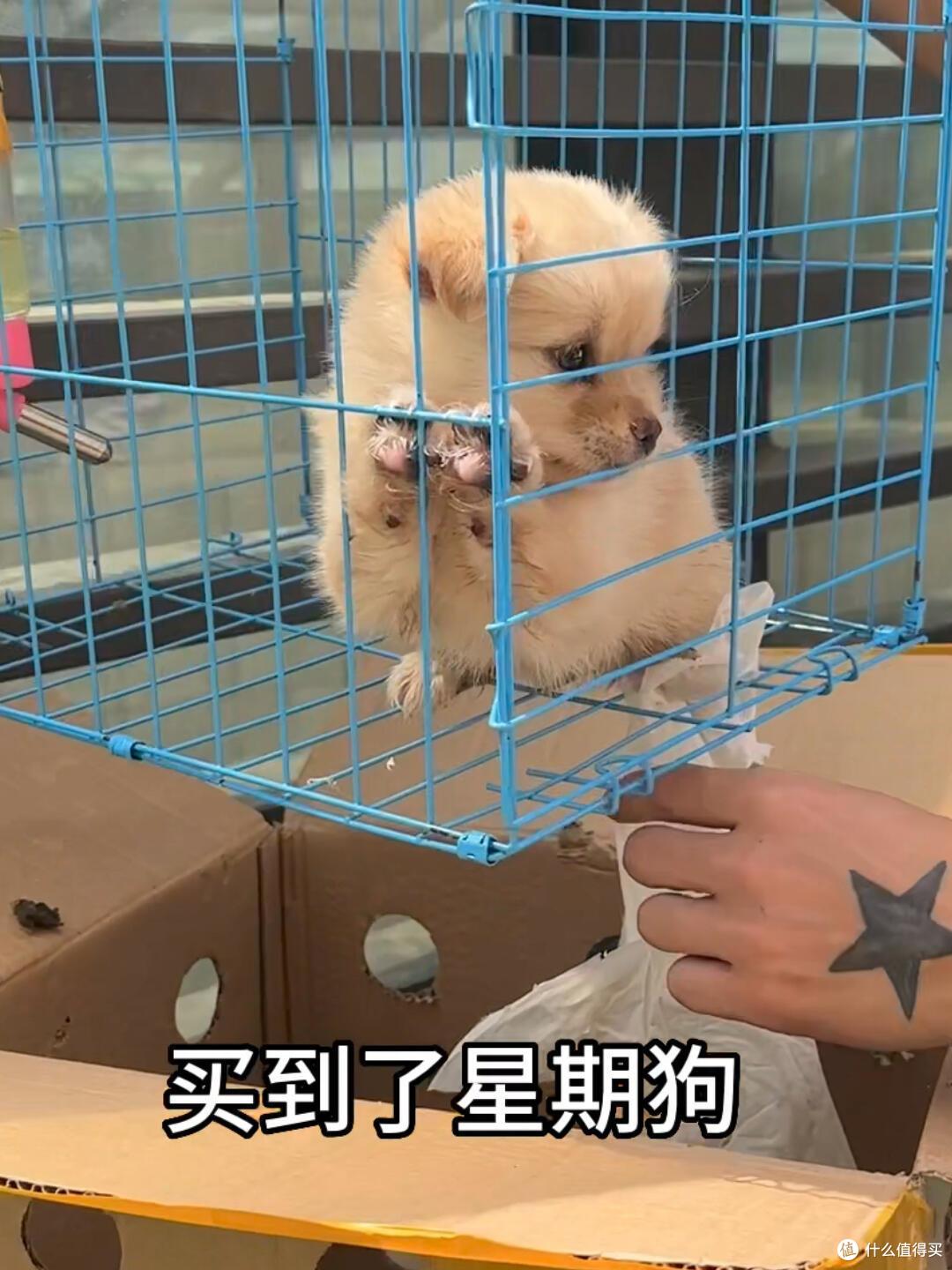 为什么说:千万不要在网上买这“5样”东西?看完你就知道后怕了