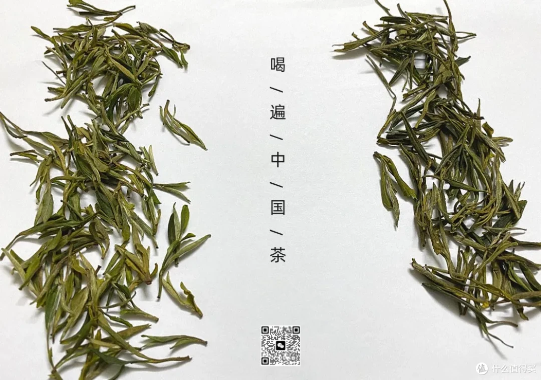 霍山黄芽