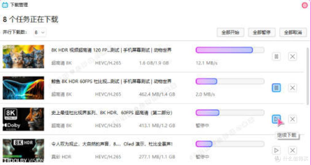B站视频下载器 Bili23-Downloader 新春版,支持自动获取高音画质