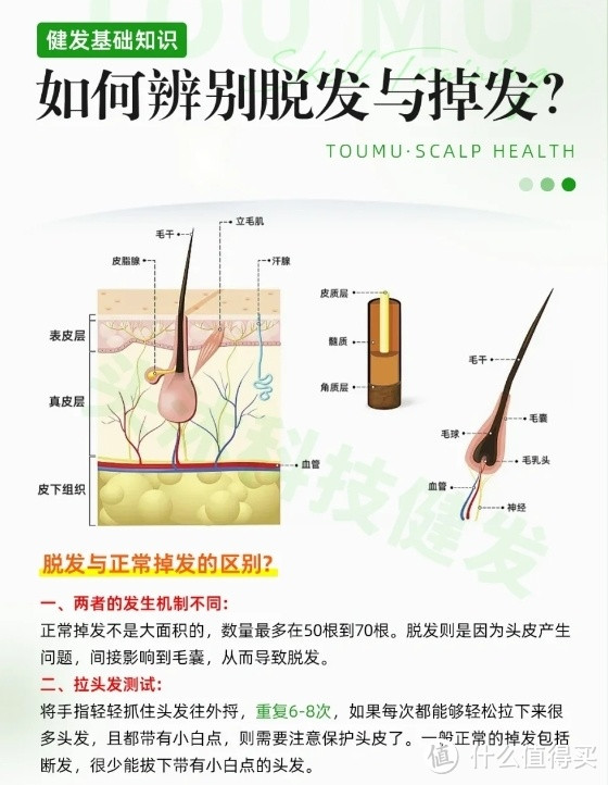 防脱发产品，20+必囤口碑前十精品！