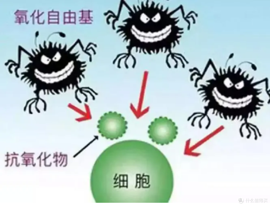 修复抗皱面霜有哪些?五大紧致款式推荐,好物不容错过!