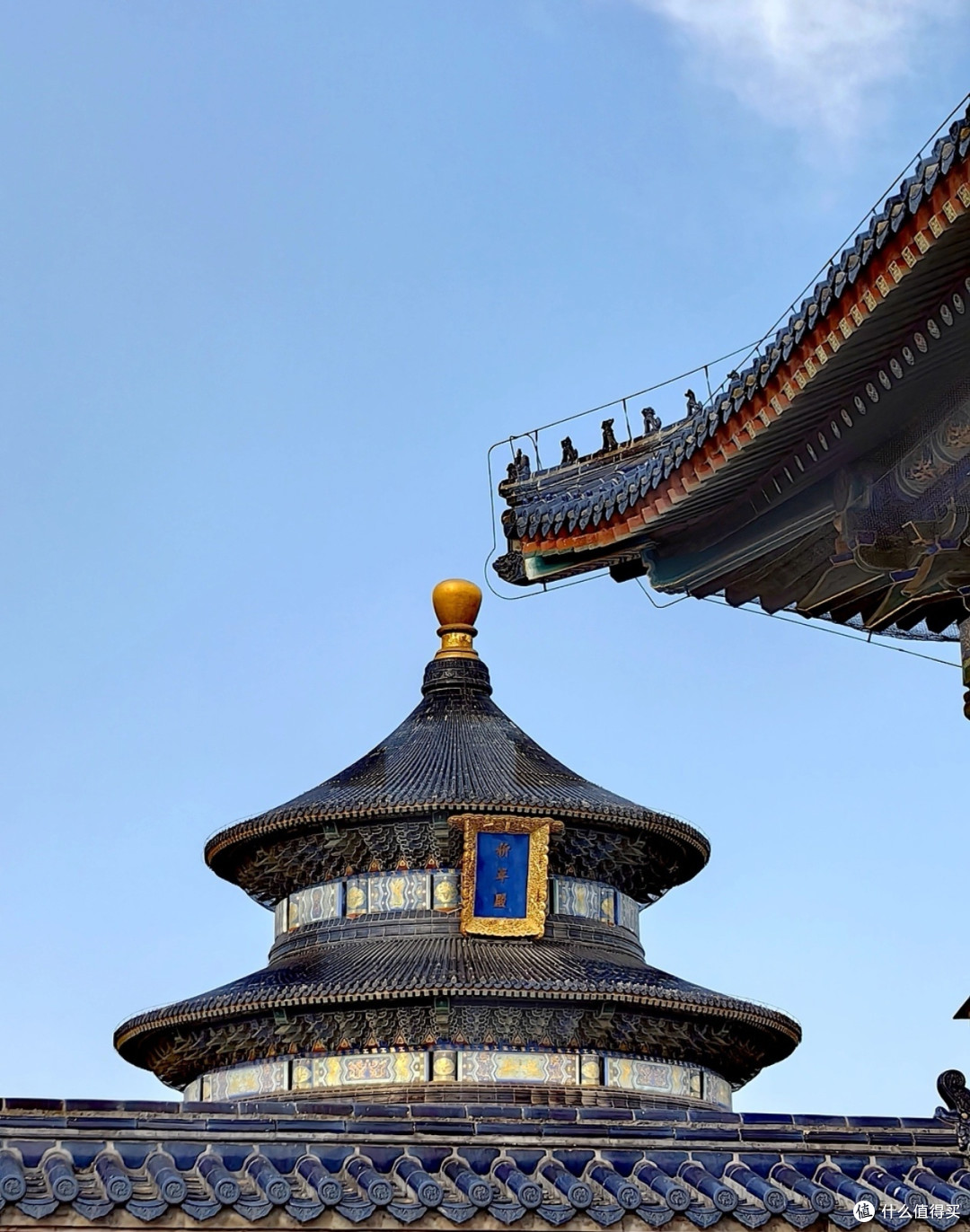 天坛一日游:穿越历史与自然的奇妙之旅