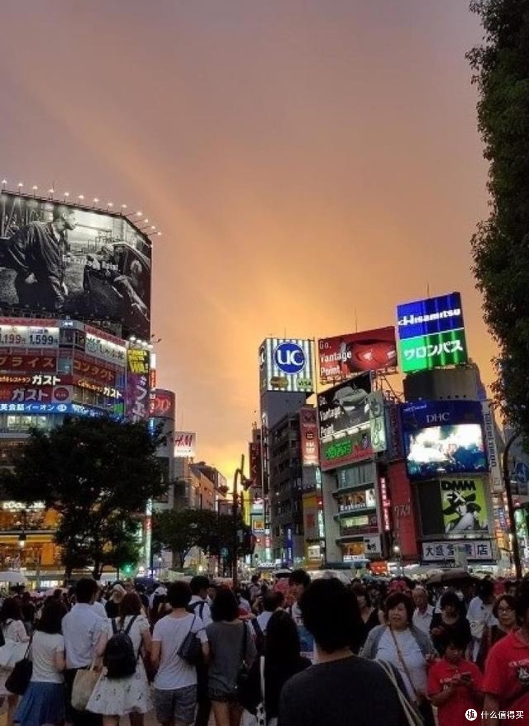 东京之旅:一场现代与传统的交织盛宴