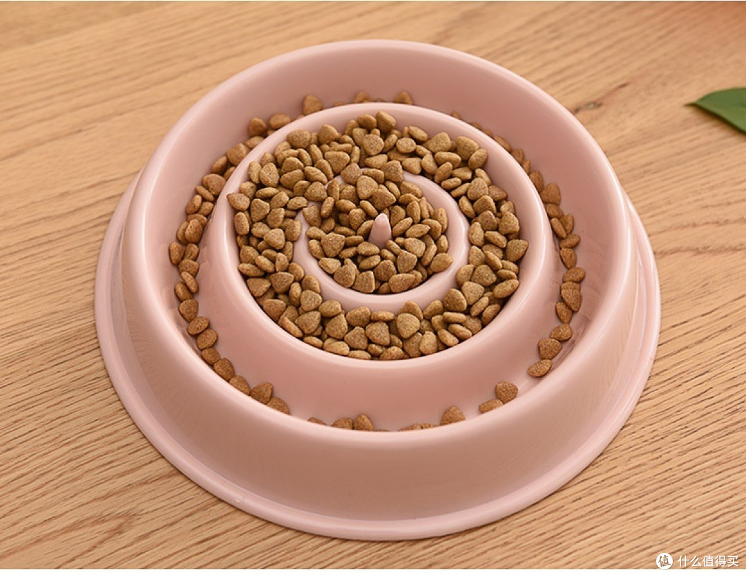 猫咪好物大赏,铲屎官必看!
