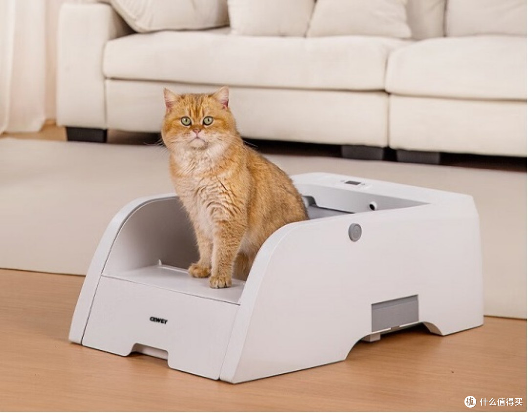 猫砂盆哪个牌子好？推荐五款高性价比热销型号
