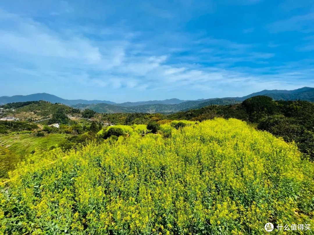 江西婺源深度旅游攻略 | 山水画廊里的徽派诗意栖居