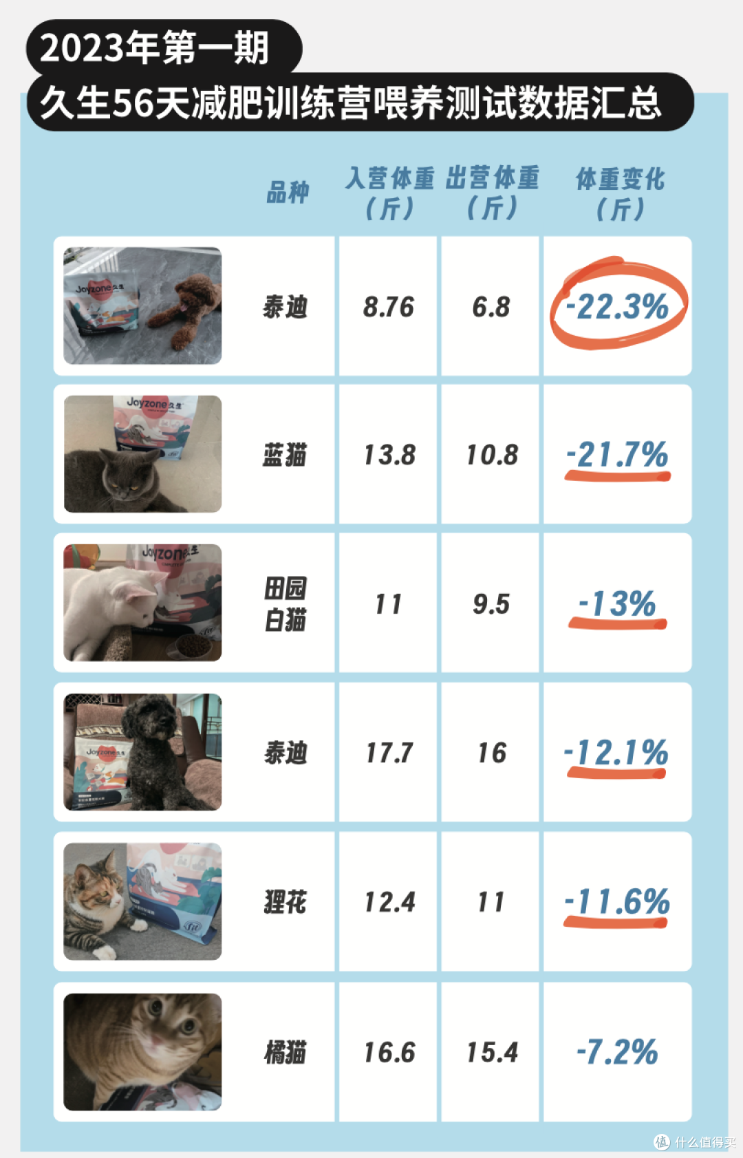 宠物保险是必需品,还是鸡肋?
