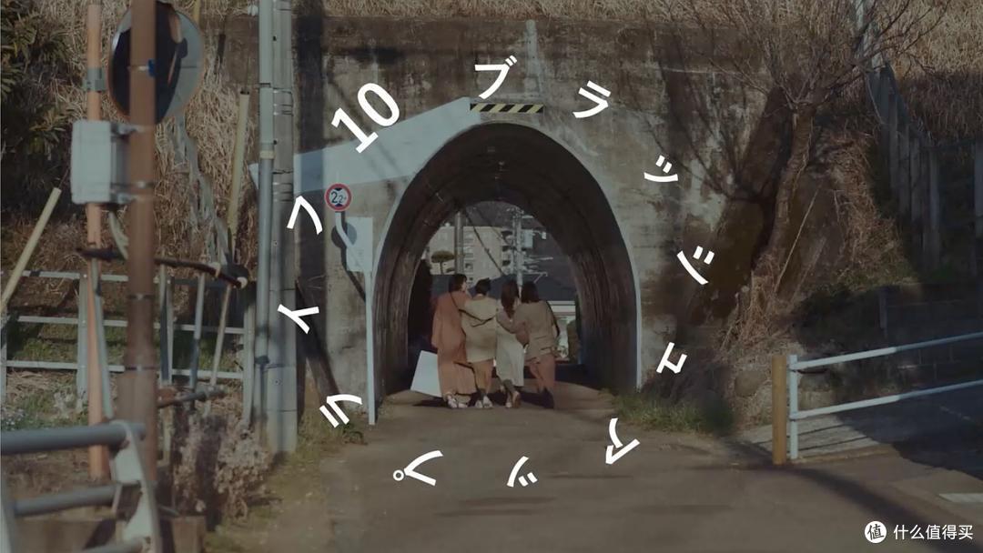 「社畜重生五刷副本」《重启人生》:闺蜜在手,食蚁兽绕道走!