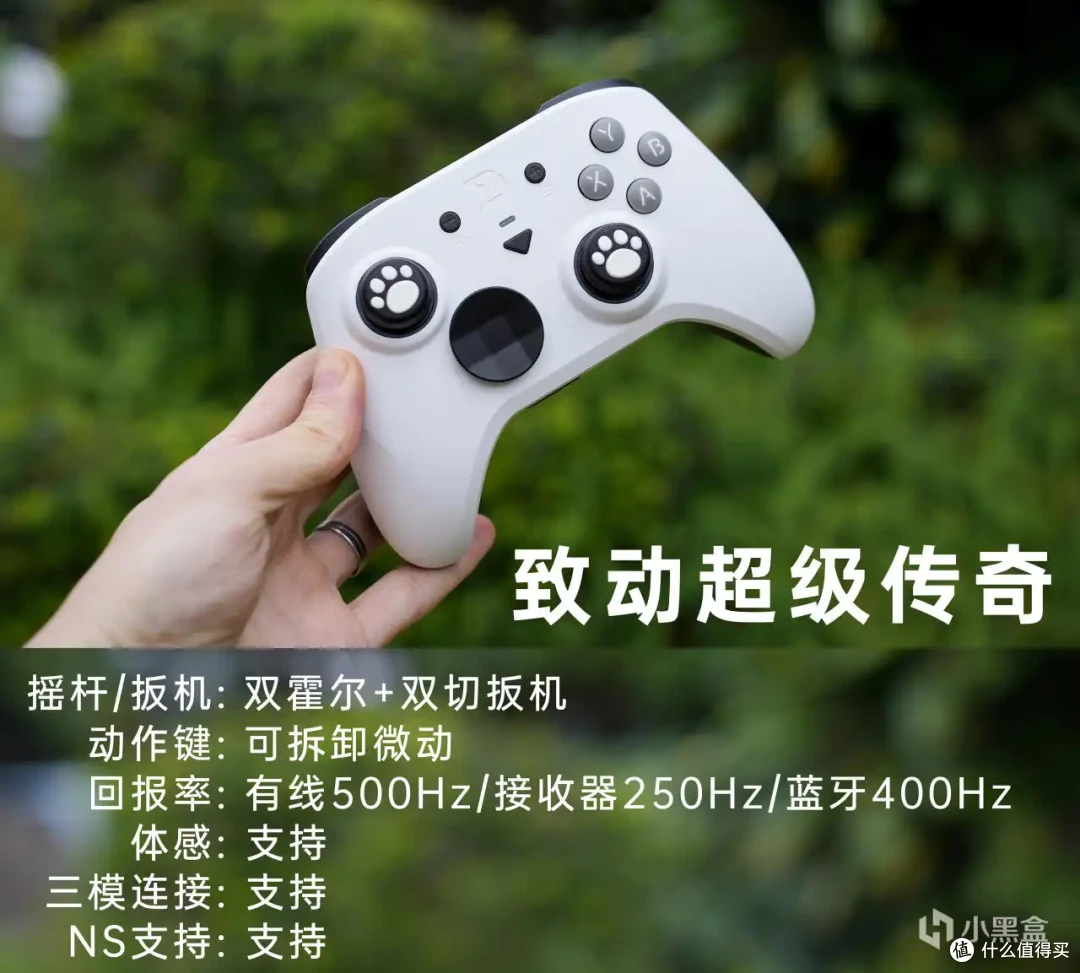 3~4月有哪些值得买的游戏手柄?真实体验拒绝云推荐!