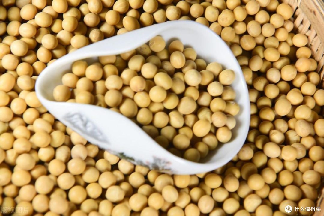 转基因大豆VS非转基因大豆,真相大揭秘!美食博主带你一探究竟