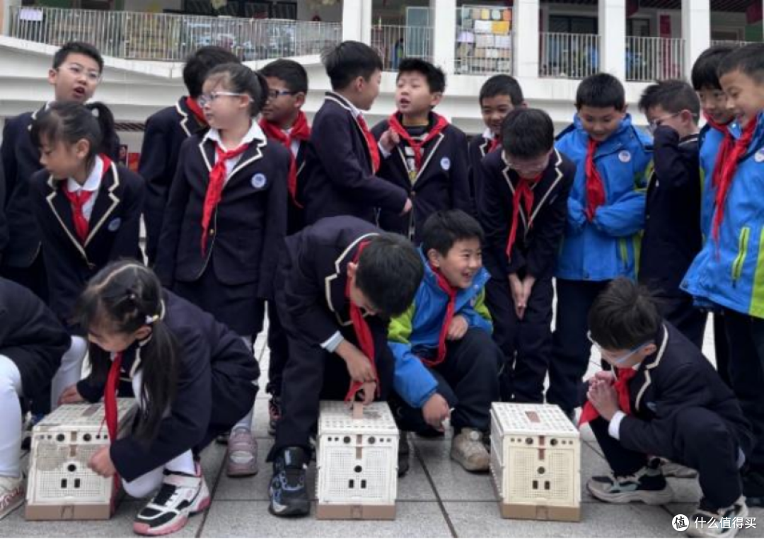 放鸽子还能保护视力，杭州这所学校为孩子护眼想出快乐新思路