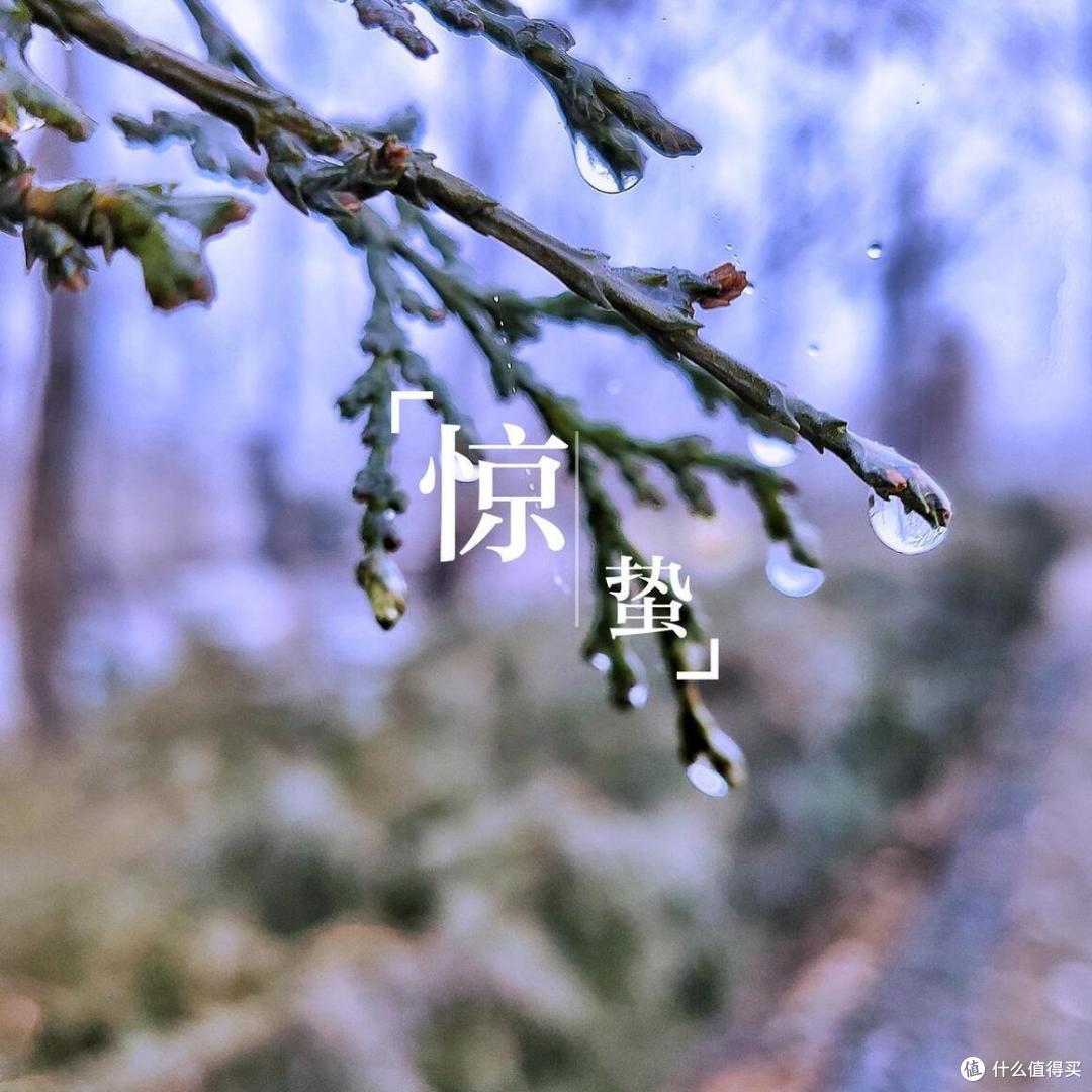 3月5日惊蛰，老话“惊蛰吃3鲜，一年病不沾”，指什么？有道理吗