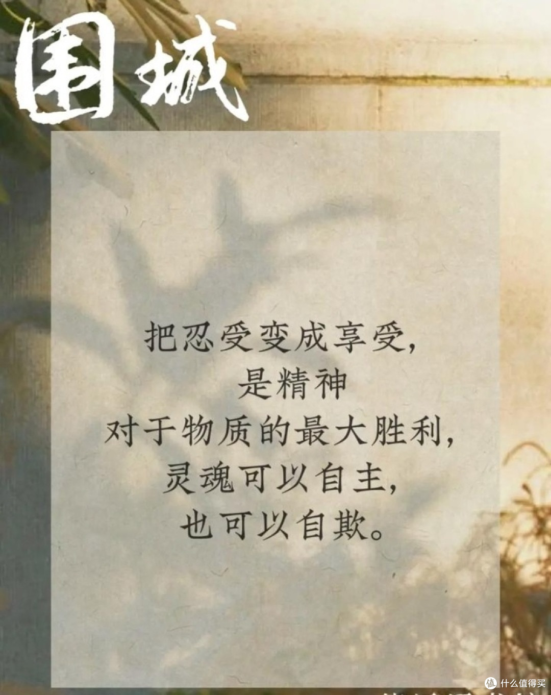 书香浸染:女性视角下的《围城》与自我成长之旅