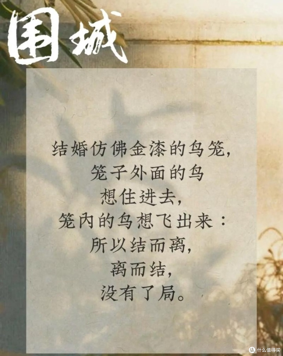 书香浸染:女性视角下的《围城》与自我成长之旅