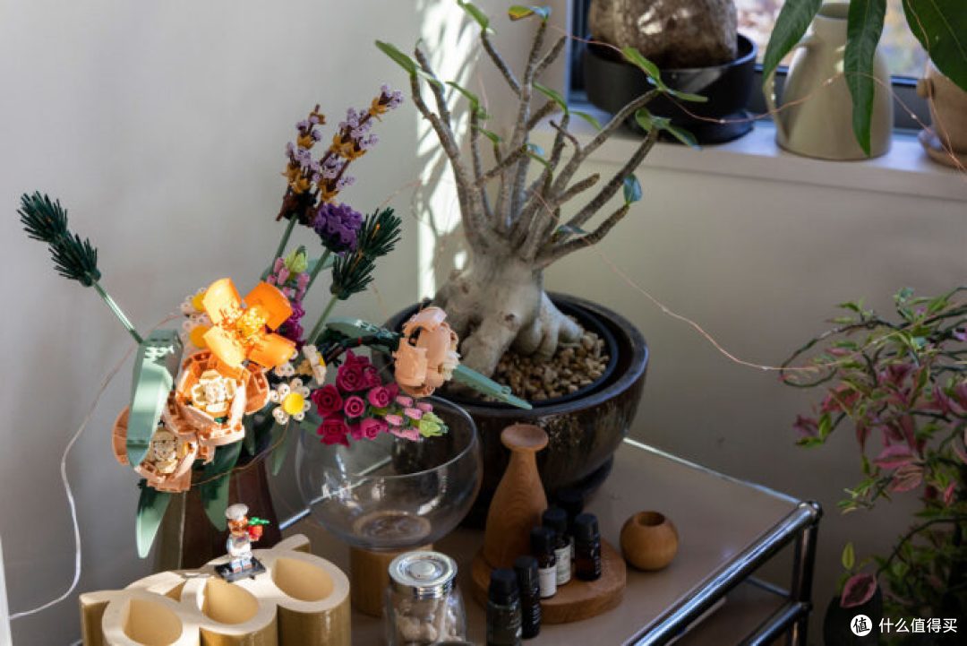 日本“植男”Soga Hironori在东京的家。