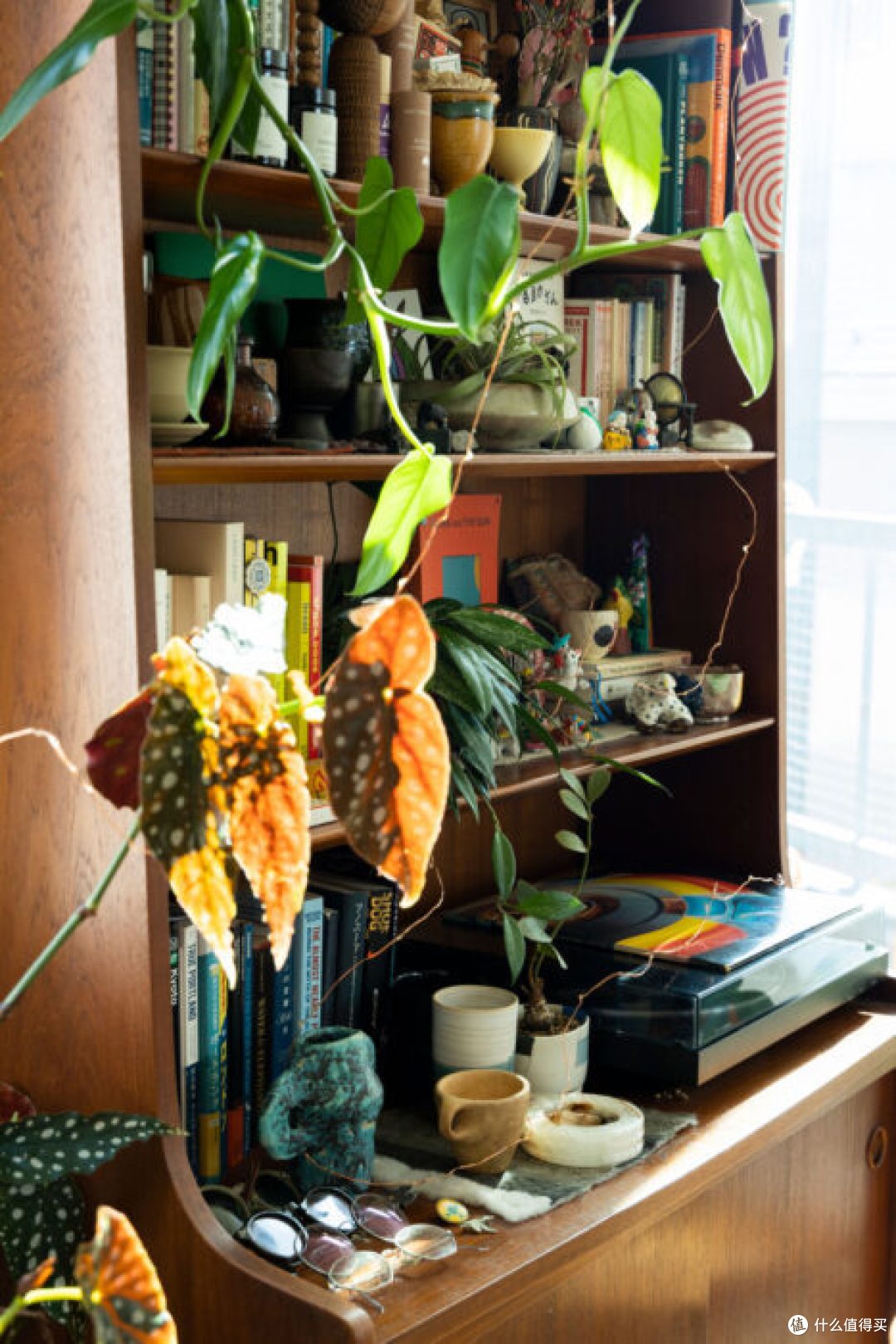 日本“植男”Soga Hironori在东京的家。