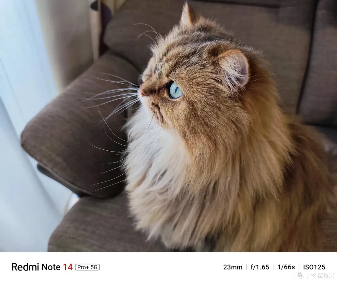 买了三台送人 红米Note 14 Pro+体验:千元机中的 “六边形战士”