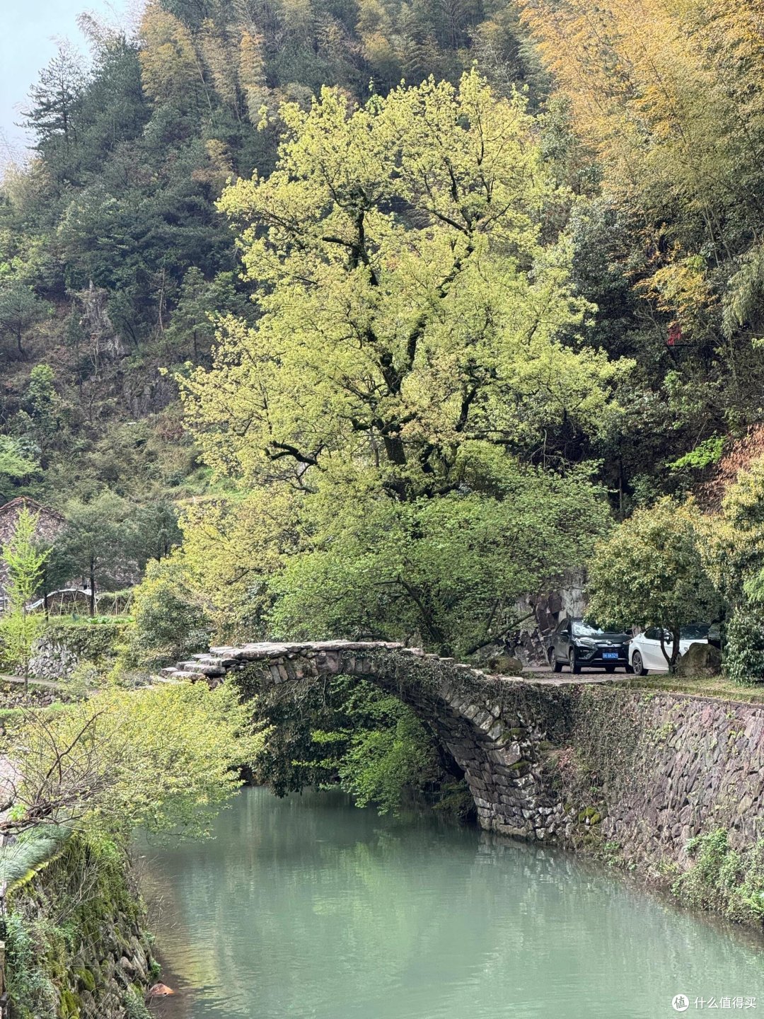 【隐秘桃源大揭秘】穿越云海,探寻遗落人间的仙境之旅!