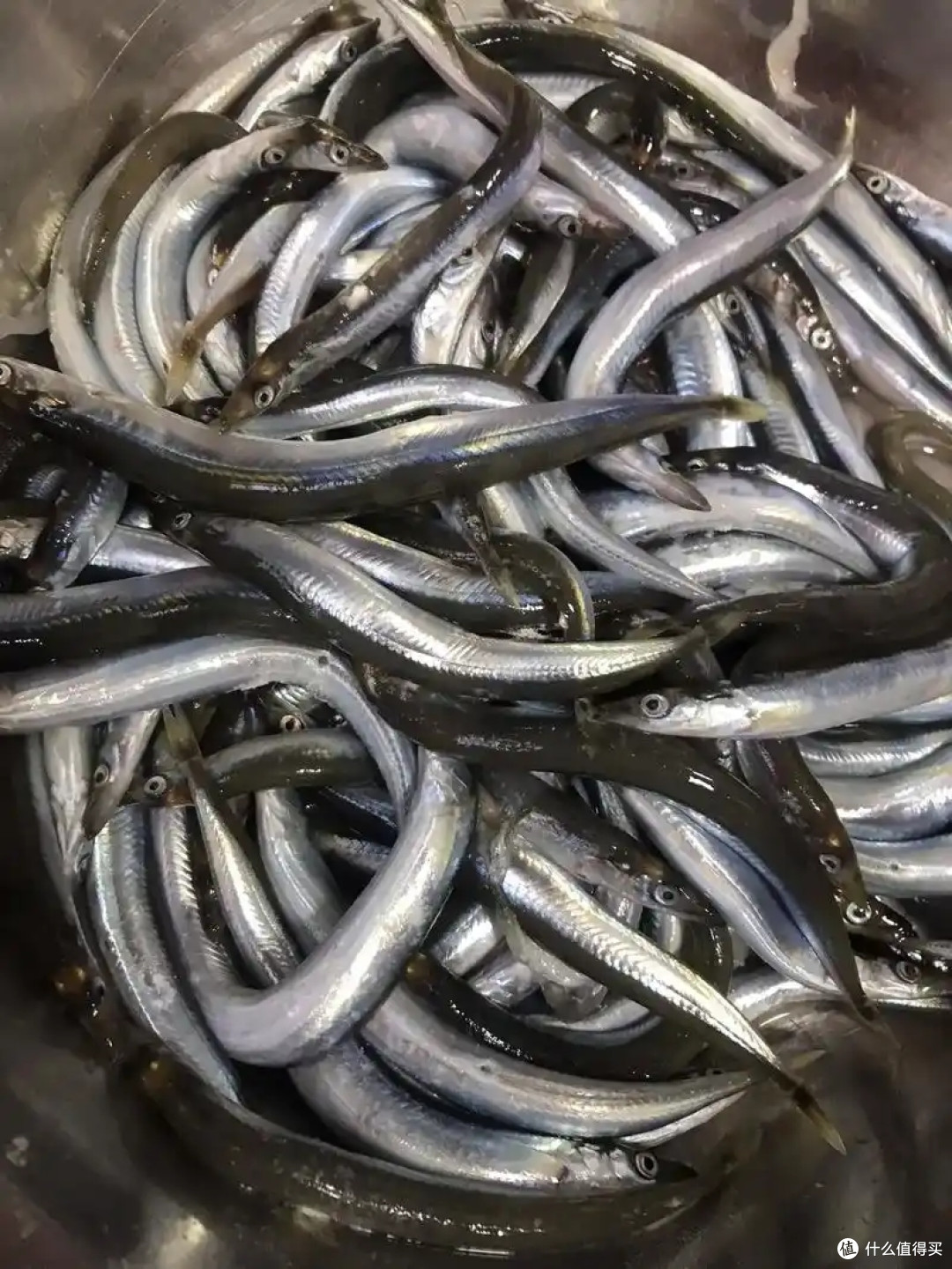 馋哭了!3月最肥10种海鲜,渔民:错过等一年