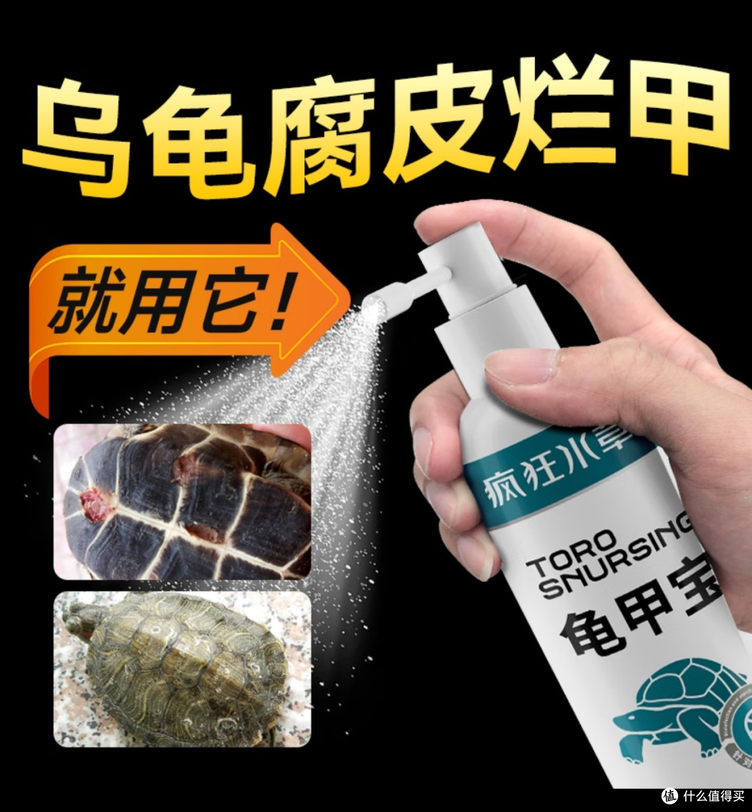 养龟真的这么简单?