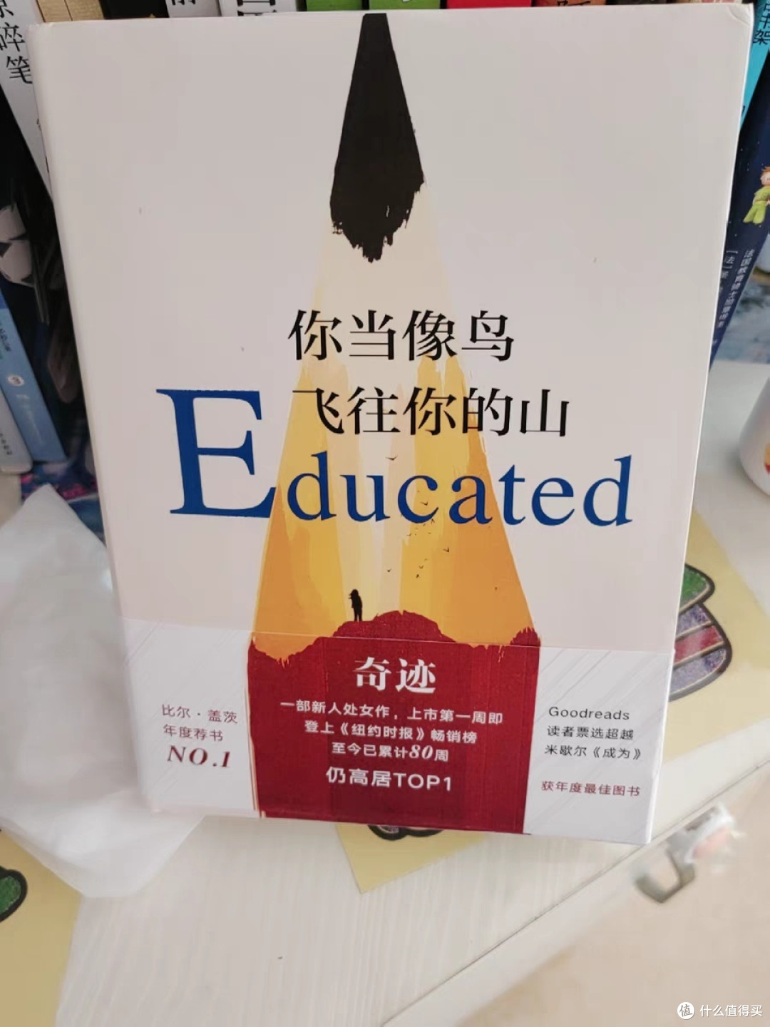 《你当像鸟飞往你的山》：女性成长的勇气与正义之光