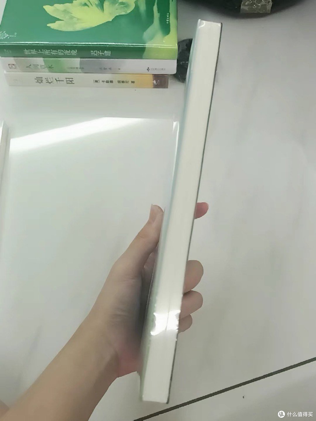 《你的夏天还好吗》:夏日里的生命与爱之歌