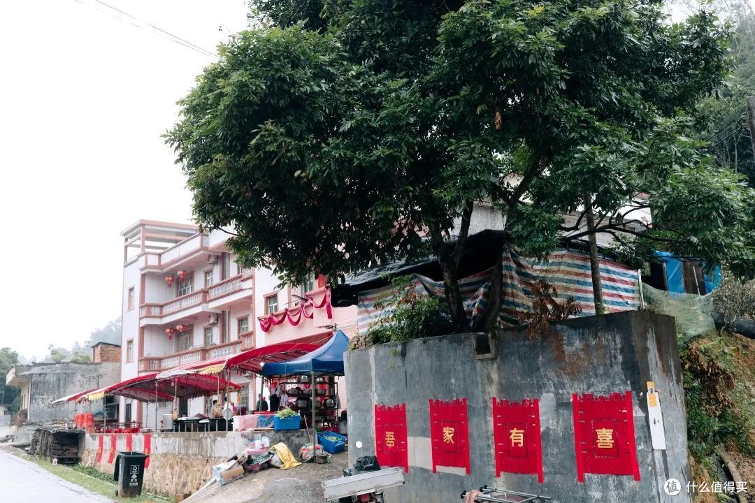 广东夫妻,晒出农村自建婚房,因“简而美”意外走红,太羡慕了!