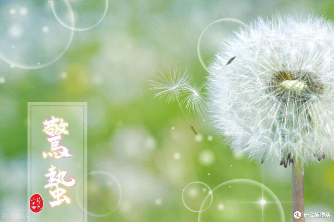 “惊蛰吃3白，一年病不来”，惊蛰要记得吃，应季而食，身体健康