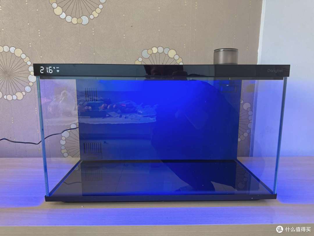 2025年智能鱼缸推荐，养鱼的快乐，是当贝智能鱼缸 1 Ultra给的！