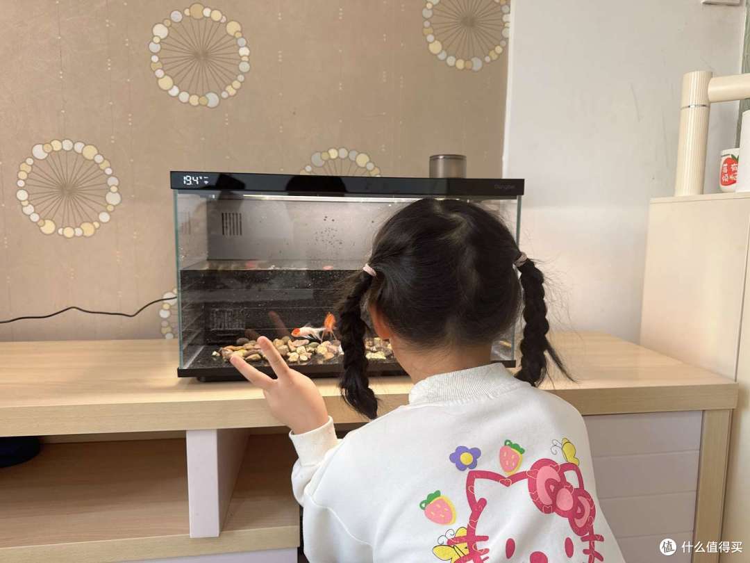 2025年智能鱼缸推荐，养鱼的快乐，是当贝智能鱼缸 1 Ultra给的！