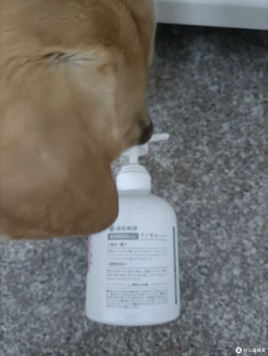我家萌宠的爱用好物——KOJIMA宠物干洗泡沫