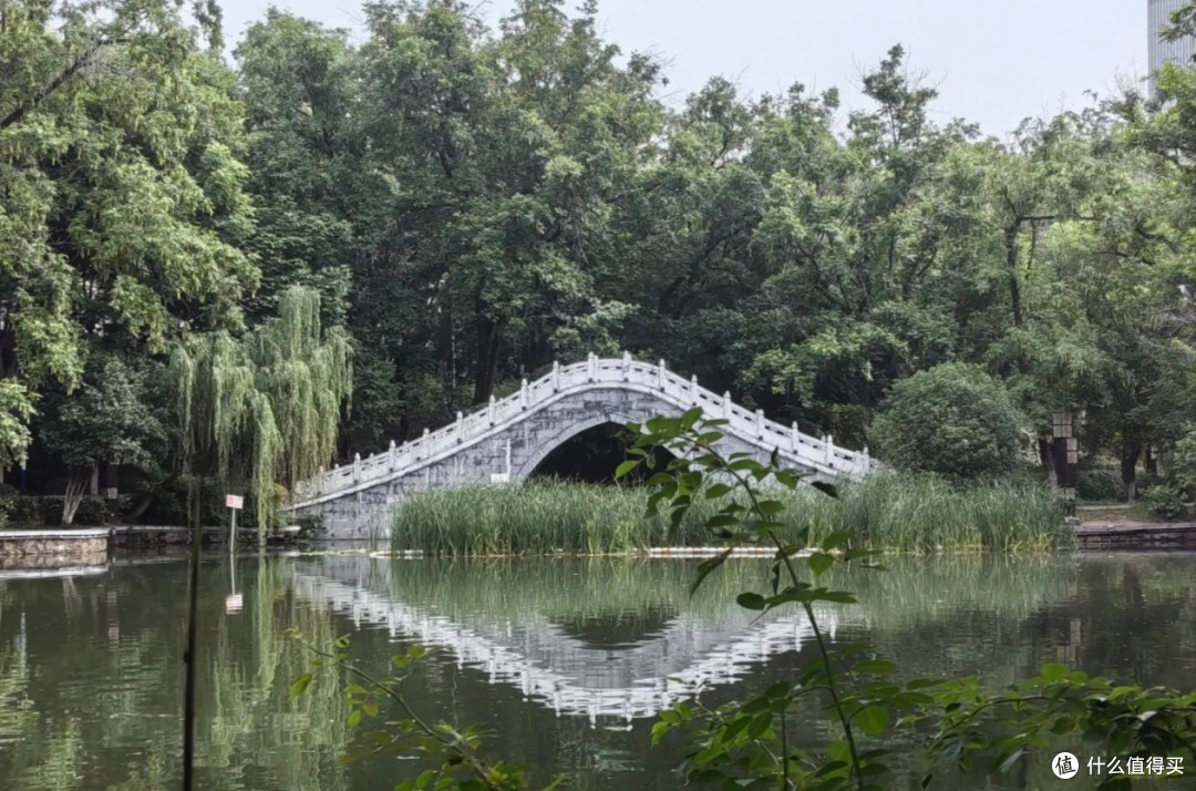 浮庄:藏在湖心的诗意角落