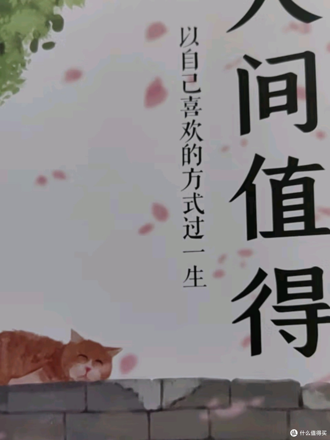 《人间值得,不抱怨的世界》——以积极心态,拥抱美好生活