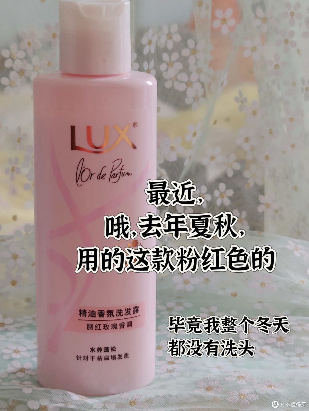 五个月不洗头是什么感受？让我来告诉你