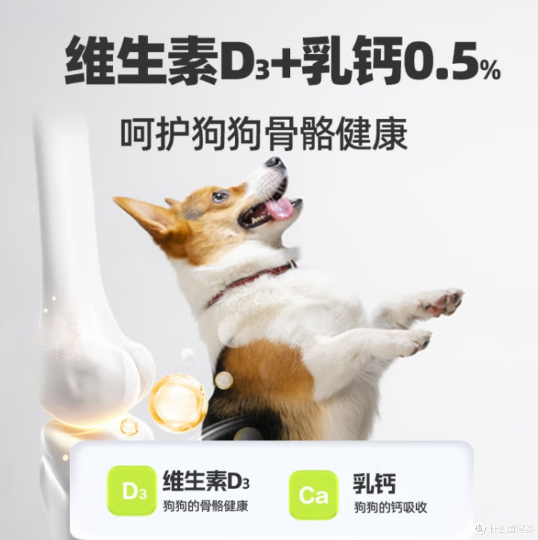 探索京七冻干狗粮：宠物营养的宝藏之选