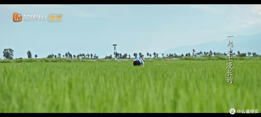 于风里寻光，在剧中品人生