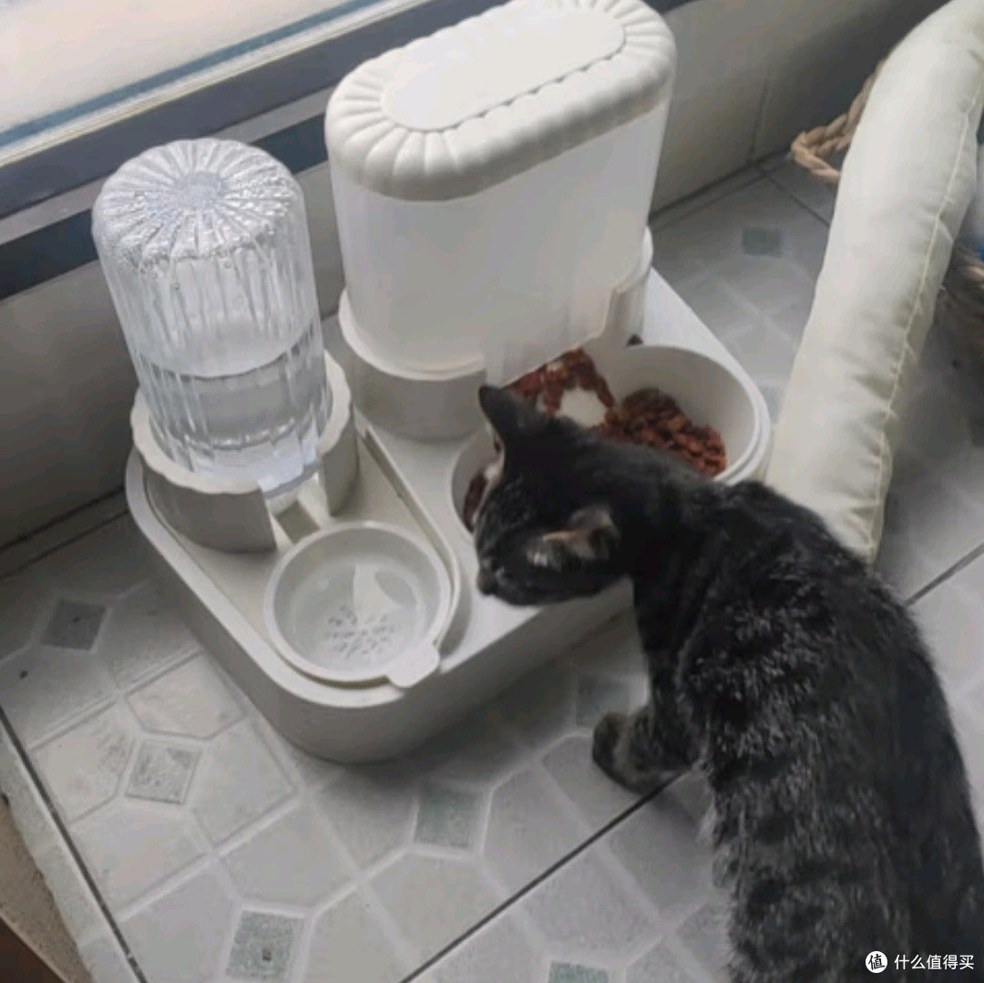华元宠具猫咪自动喂食器饮水机一体猫碗双碗设计:宠物喂食新体验
