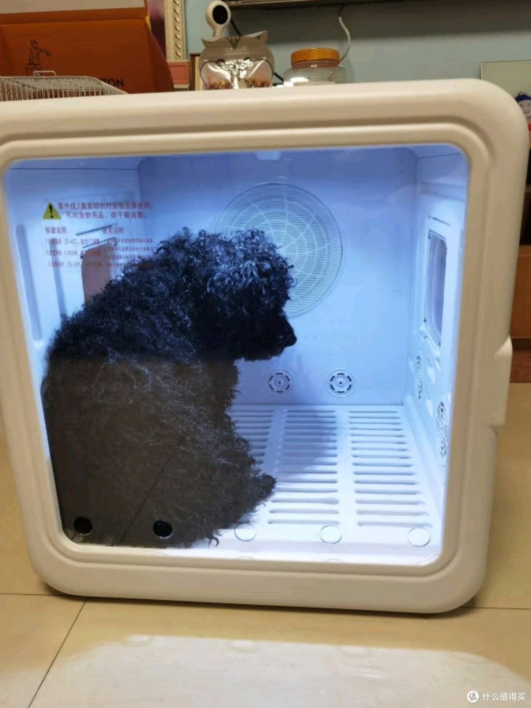 宠智迪宠物烘干箱:智能家用吹毛风干神器,宠物护理新选择