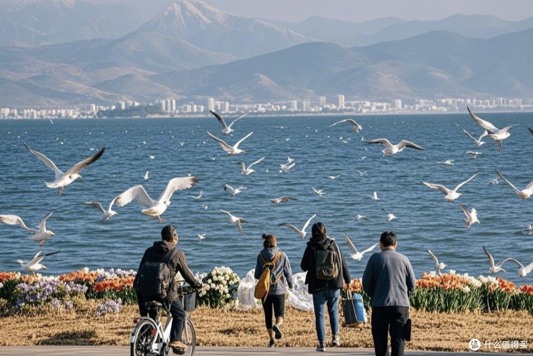 时间魔法:错峰出游重构旅行叙事
