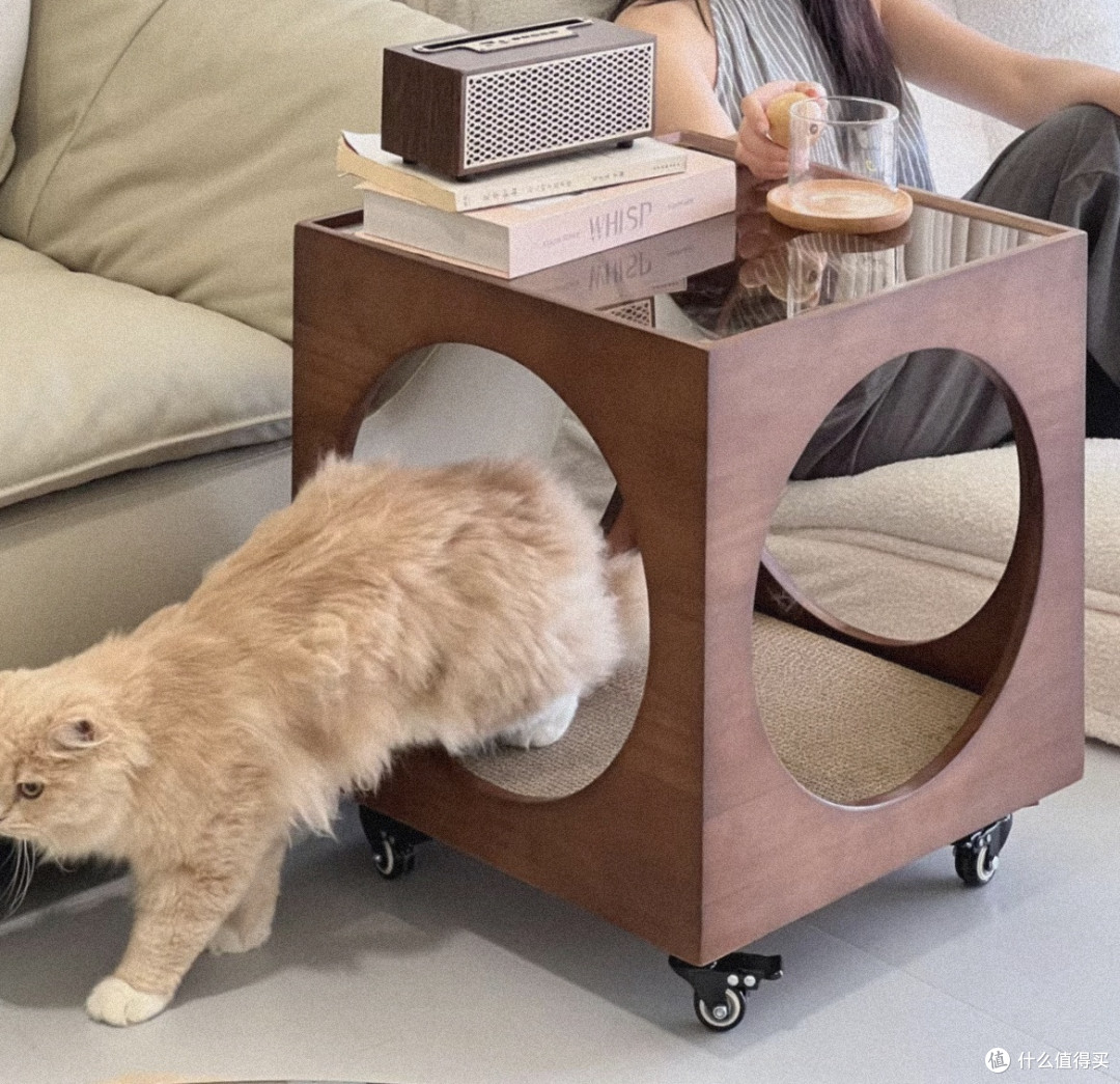 人猫共用家具绝了，既当床头柜又当猫窝