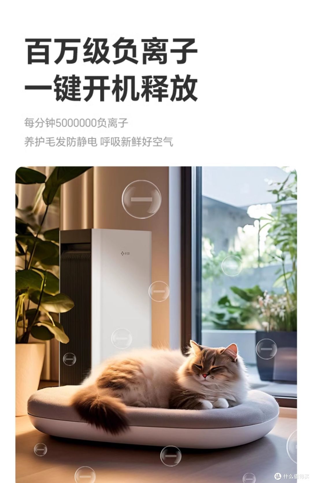 新颐小白 3.0 空气净化器：国补政策下健康呼吸的全能守护者