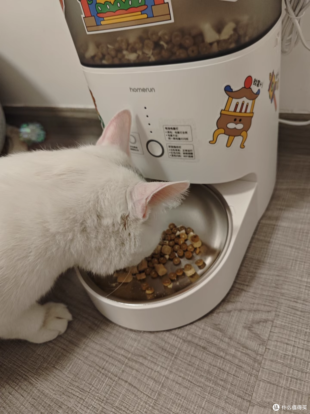 【猫咪吃饭神器】霍曼Real自动喂食器,远程控食太省心!