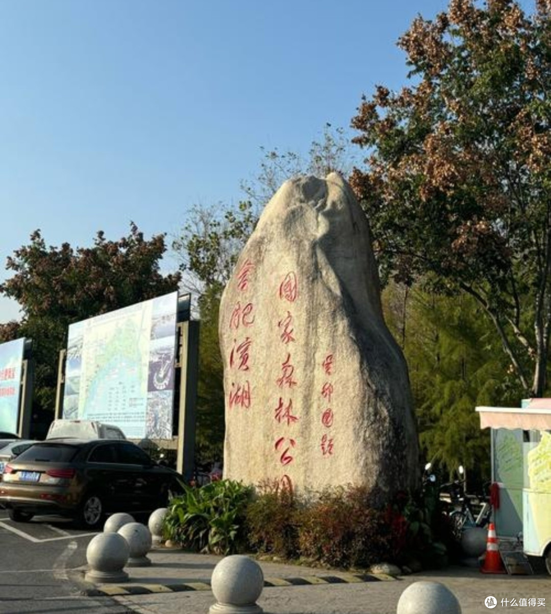 合肥滨湖森林公园:错峰出游的绿意天堂🌳✨
