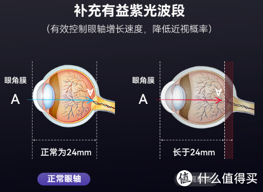 2025年护眼灯具选购指南，护眼大路灯、护眼台灯哪一款更好？